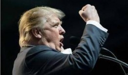 特朗普八卦爆料视频,八卦爆料视频背后的惊人真相